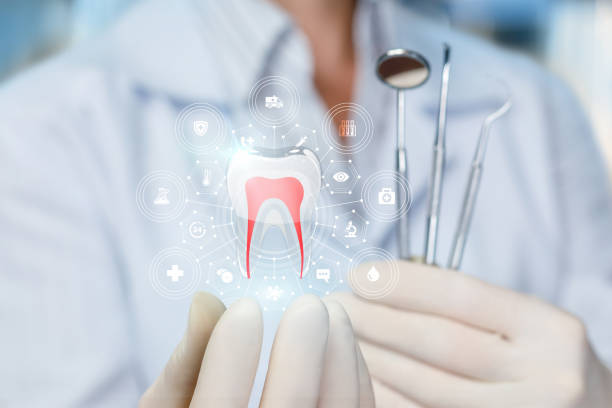 Best Dental Exams and Cleanings  in Mound, MN